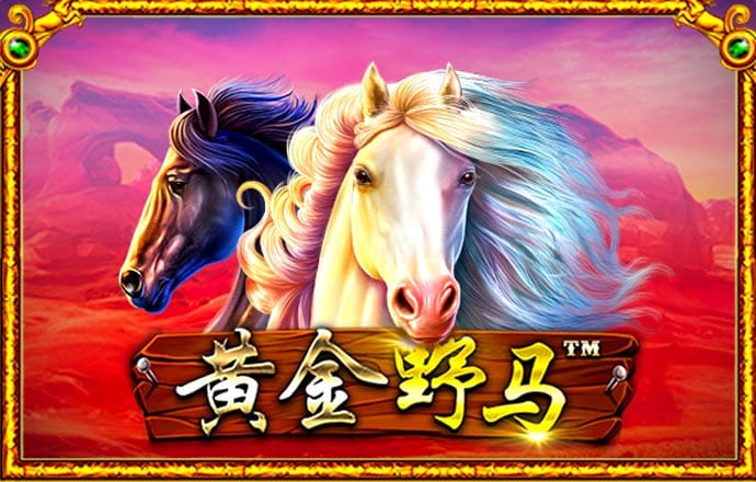 金沙娱城官方版下载